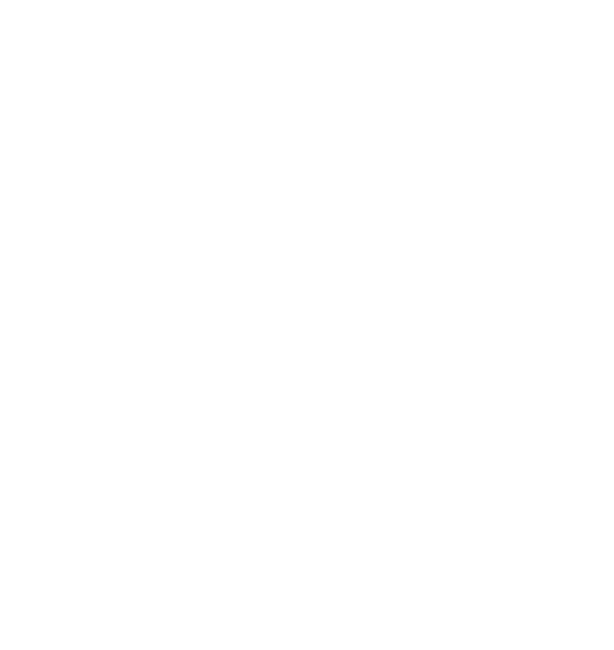 Feuille verte isolée sur fond blanc